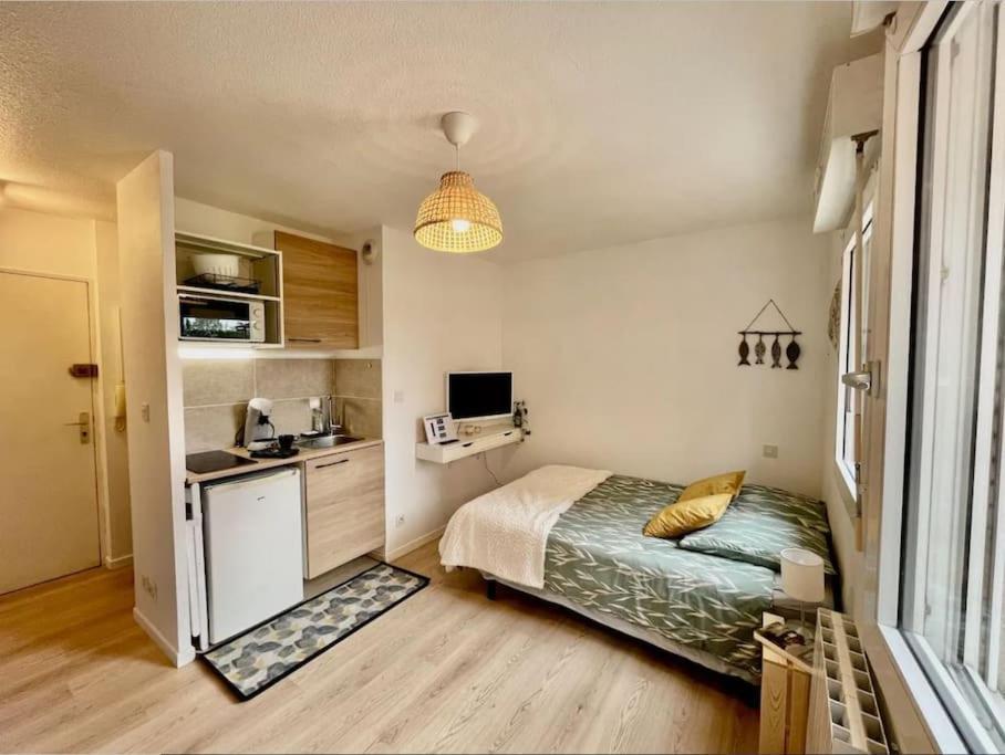 דירות טולוז Studio Orchidee - Metro Arenes - Hopital A 5 Mn מראה חיצוני תמונה