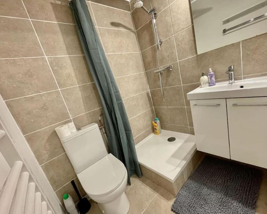דירות טולוז Studio Orchidee - Metro Arenes - Hopital A 5 Mn מראה חיצוני תמונה